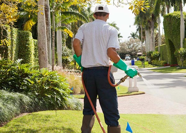 About Steedman MO Pest Control
